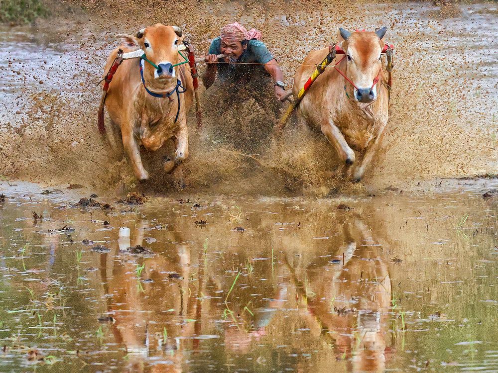 Photograph by Jurica Galic
