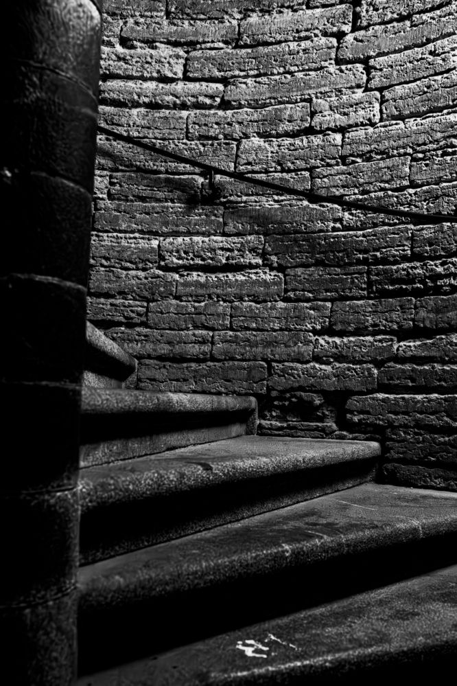 Photograph by Роман Акулов