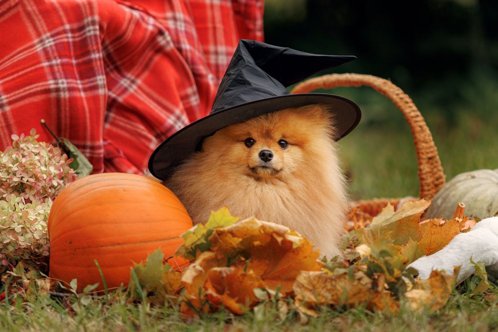 Photograph by Яна Нарбутович