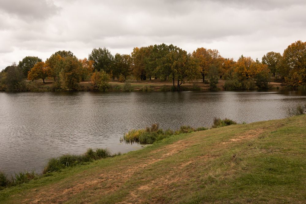 Photograph by Юлия Шевцова