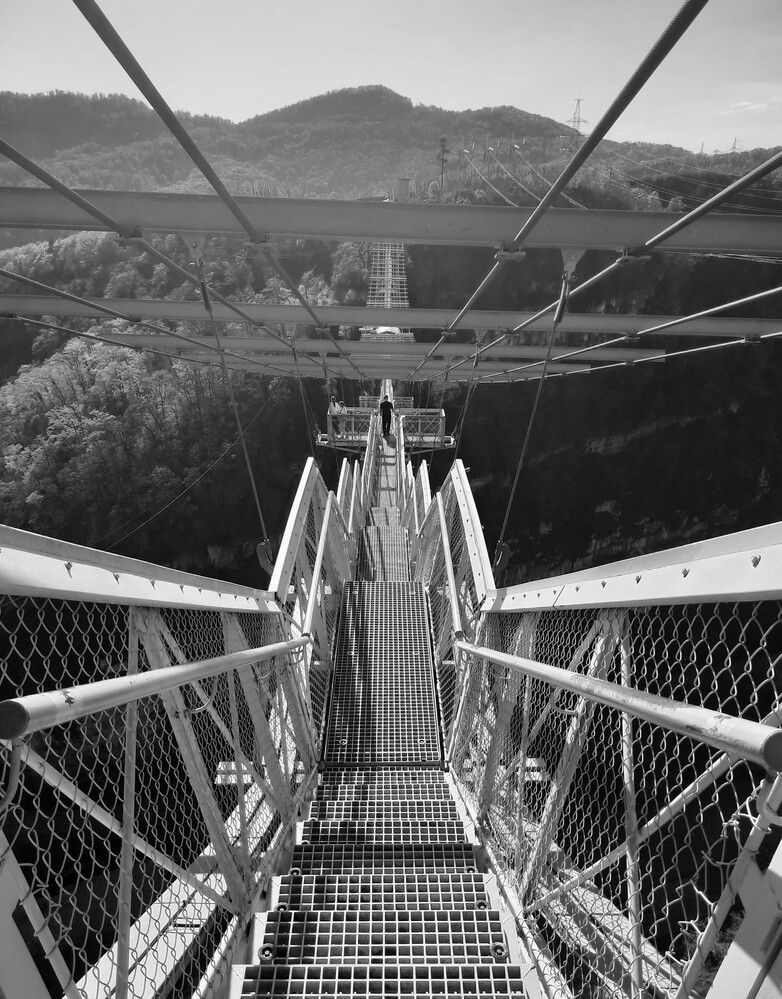 Фотография автора Елена Пикатова