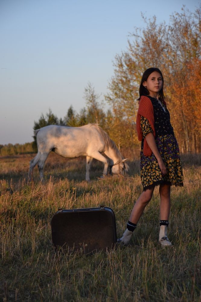 Осенний лес