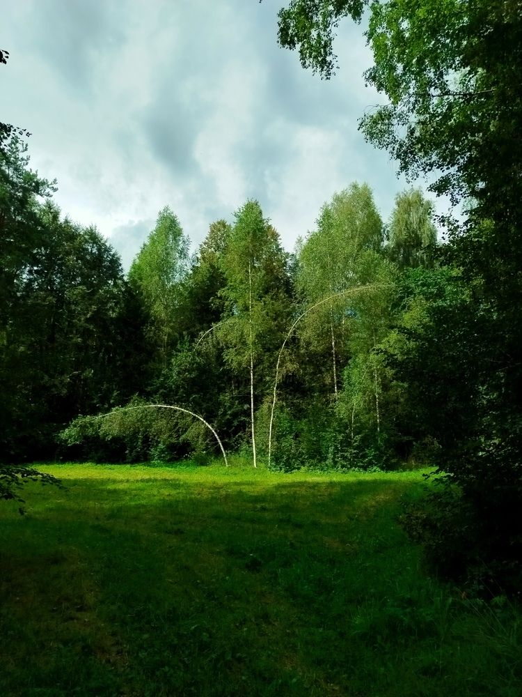 Photograph by Евгения Семёнова