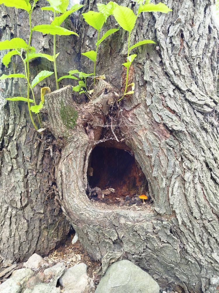 Photograph by Евгения Семёнова