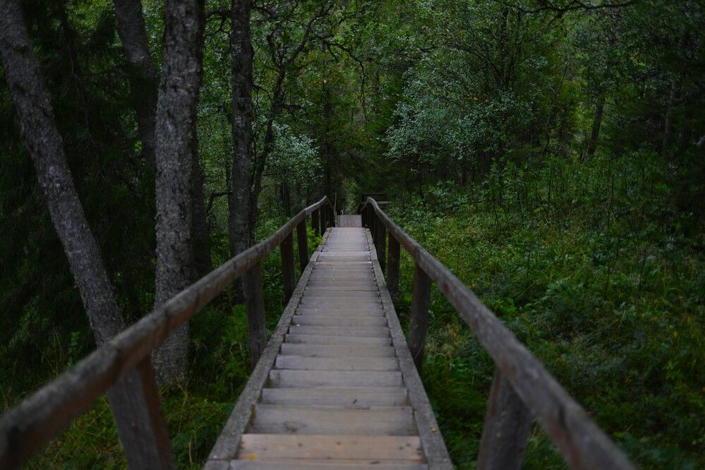 Photograph by Владимир Грибков