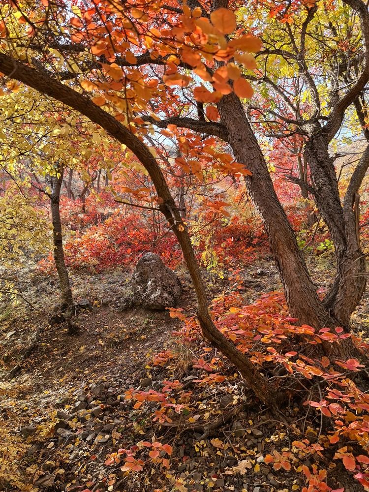 Photograph by Ekaterina Bogdasarova