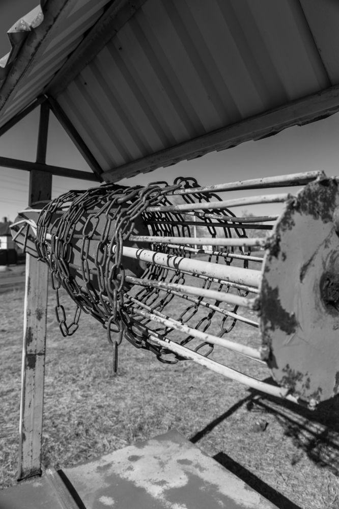 Фотография автора Светлана Поливанова