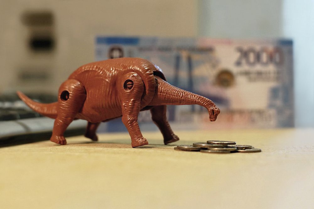 Фотография автора Е лена Е