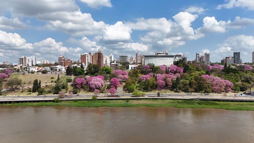 Ciudad en flor