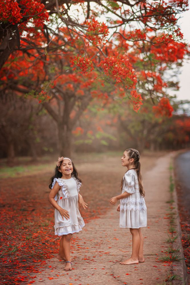 Photograph by ALMIR SILVA