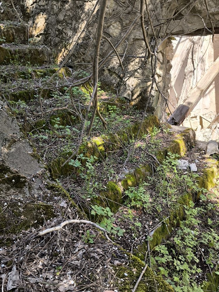 Фотография автора Юлия Лубкина