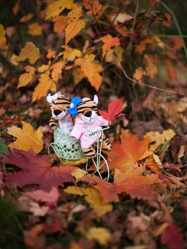 Photograph by Лолита Богачева