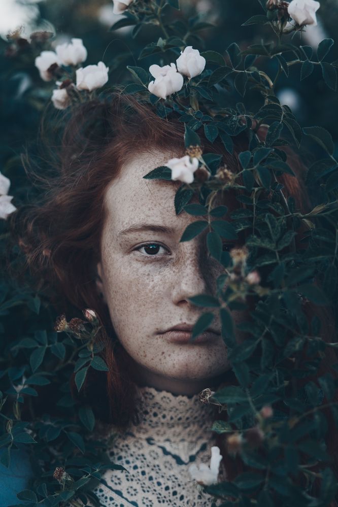 Photograph by Гергерт Вероника