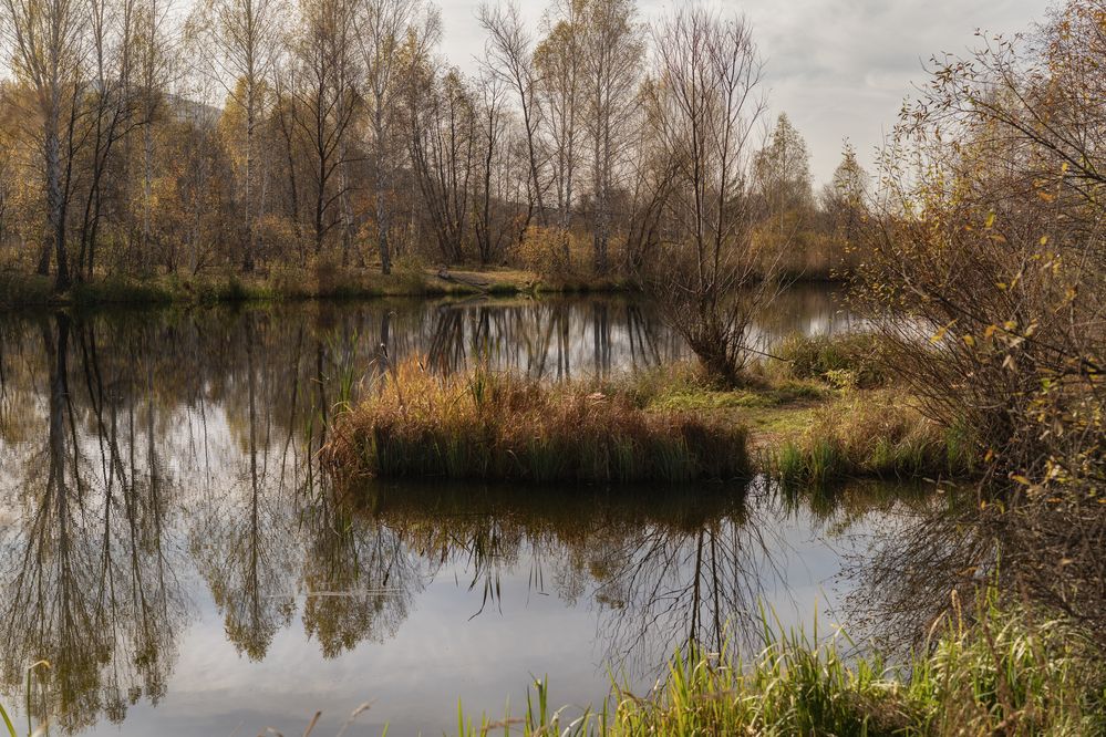 Photograph by Наталья Горохова