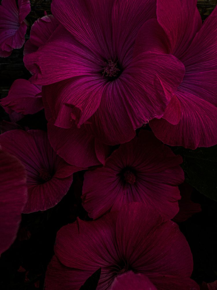 Photograph by Виктория Володько