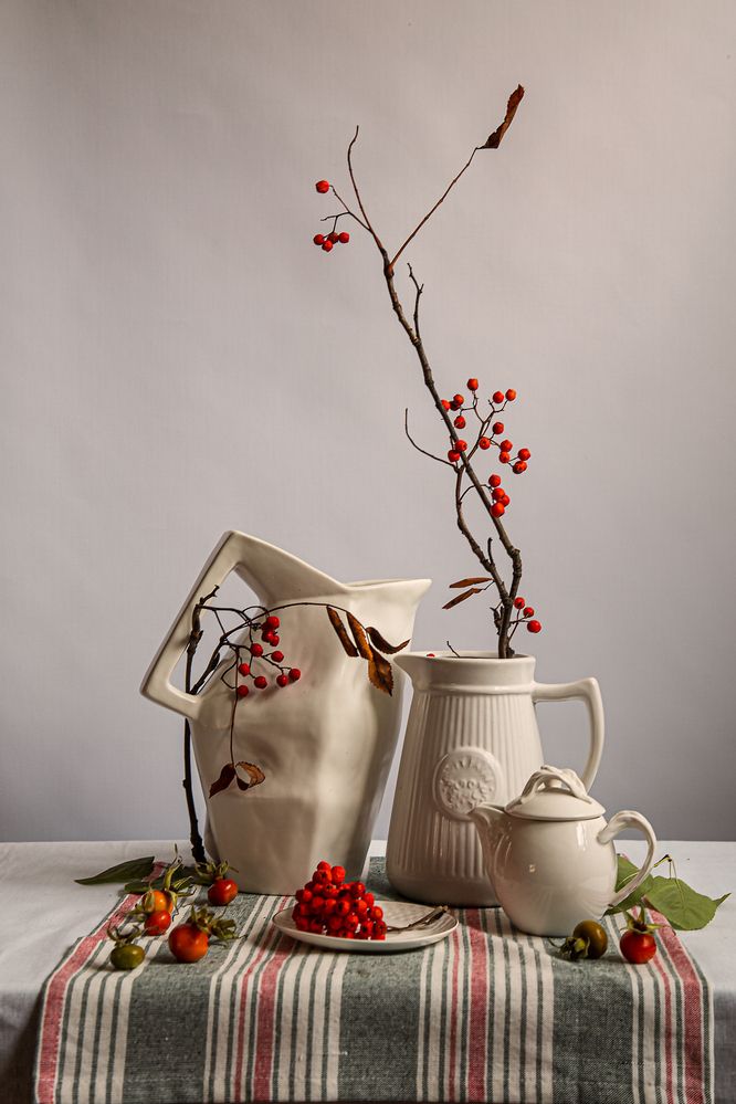 Фотография автора Елена Разина