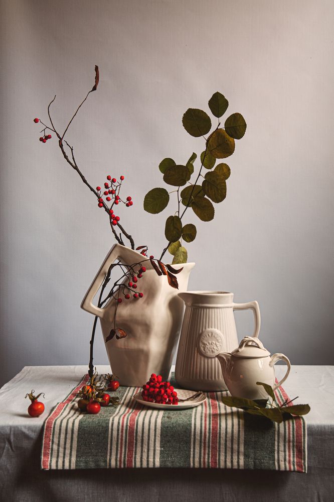 Фотография автора Елена Разина