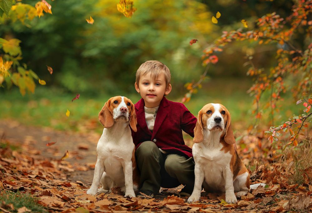 Photograph by Анна Волкова