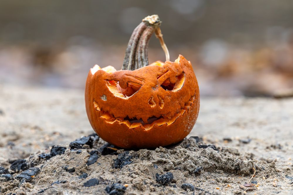 Photograph by Антон Науменко