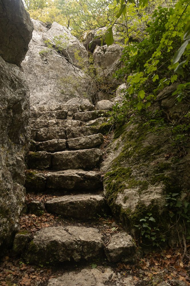 Photograph by Альфия Хабирова