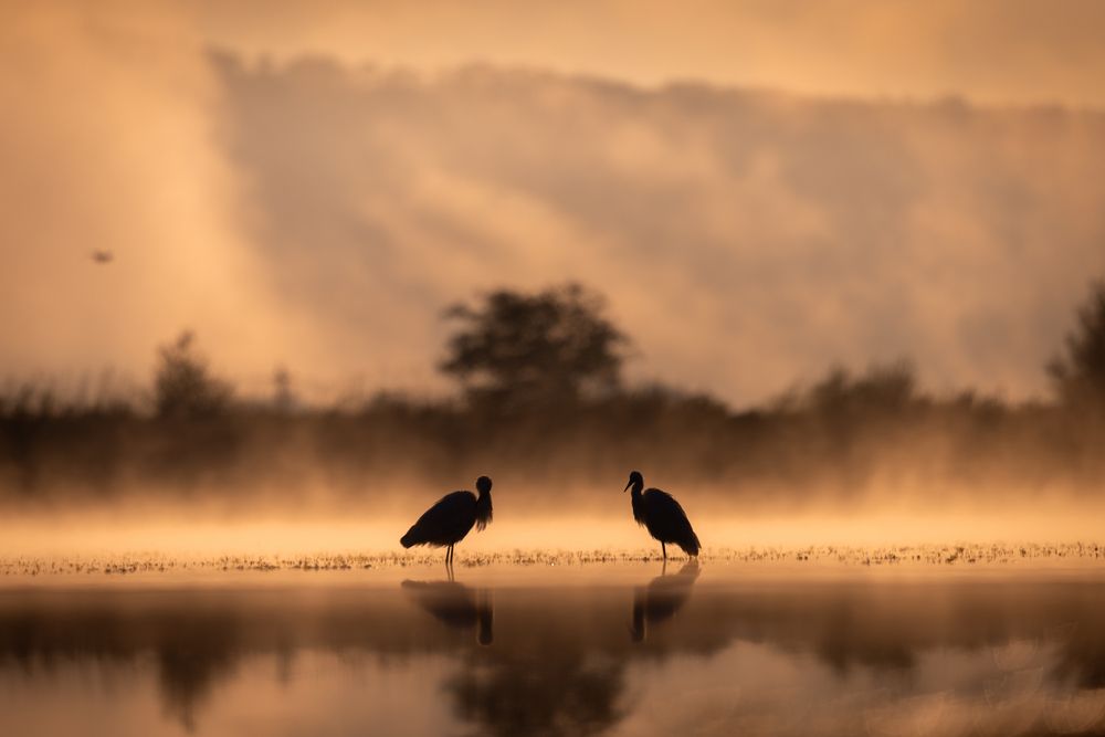 Photograph by Szekely Janos