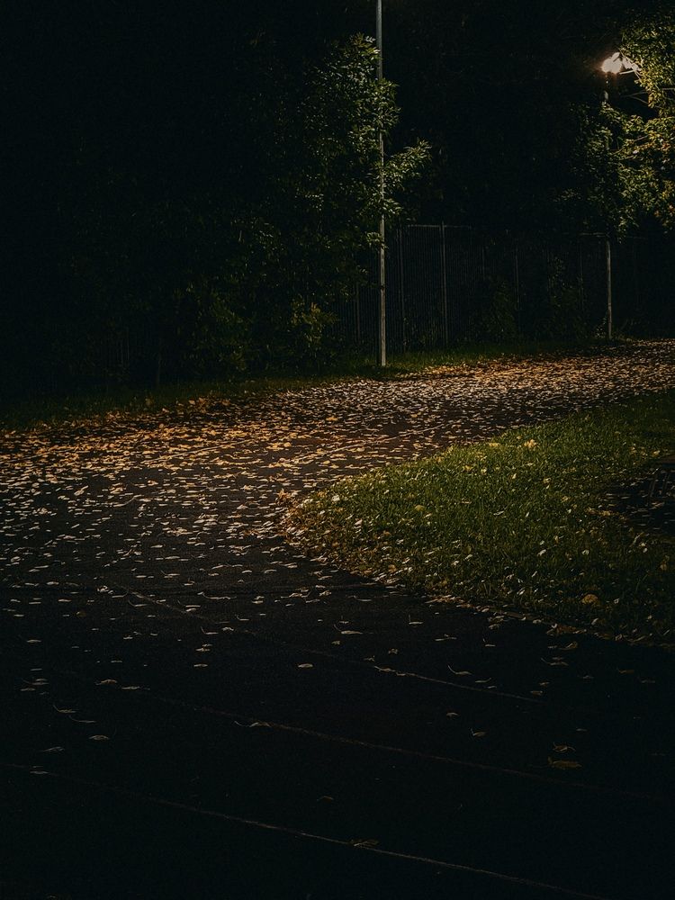 Photograph by Александр Михайлович