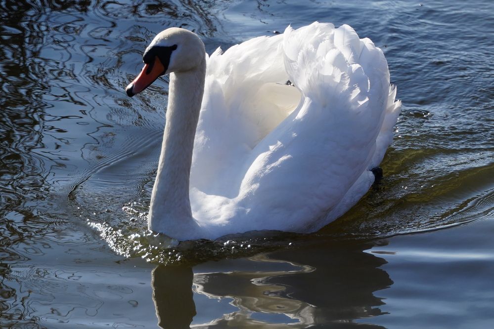 Фотография автора Sergej Roor