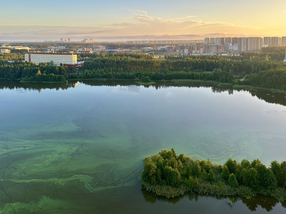 Фотография автора Alina Efimova