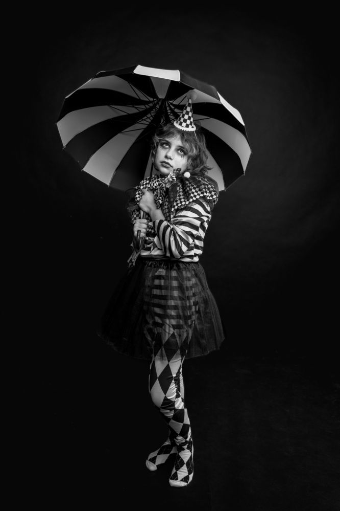 Фотография автора Robert Stein