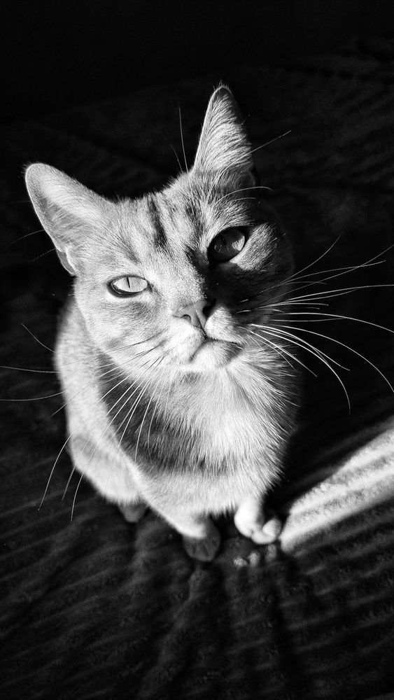 Photograph by Алена Самошина