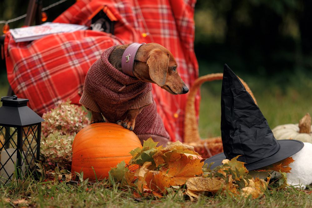 Photograph by Яна Нарбутович