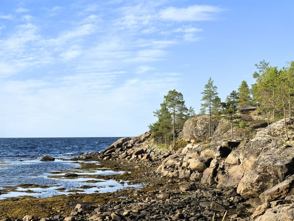 Photograph by Мария Харлашова