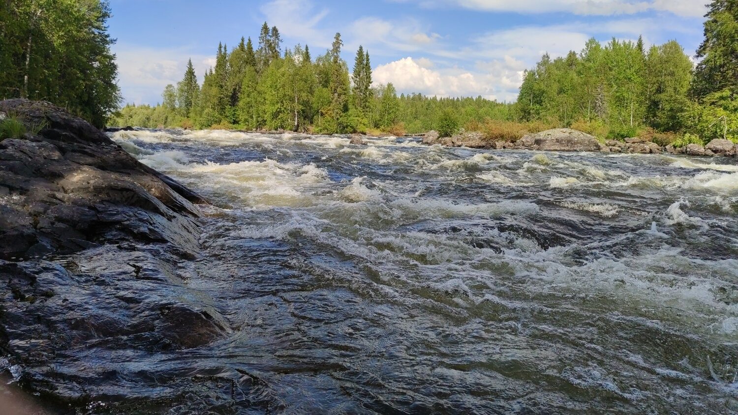 Photo #12676135
