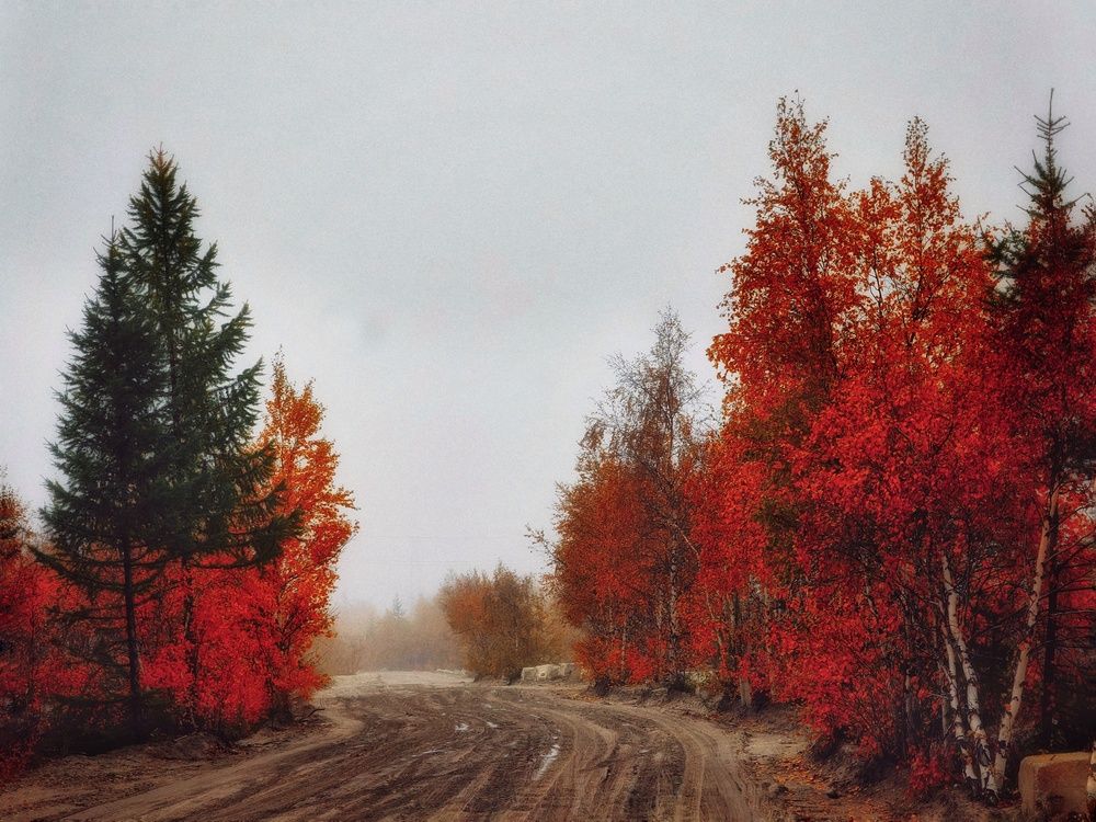 Photograph by Юлия Арестова