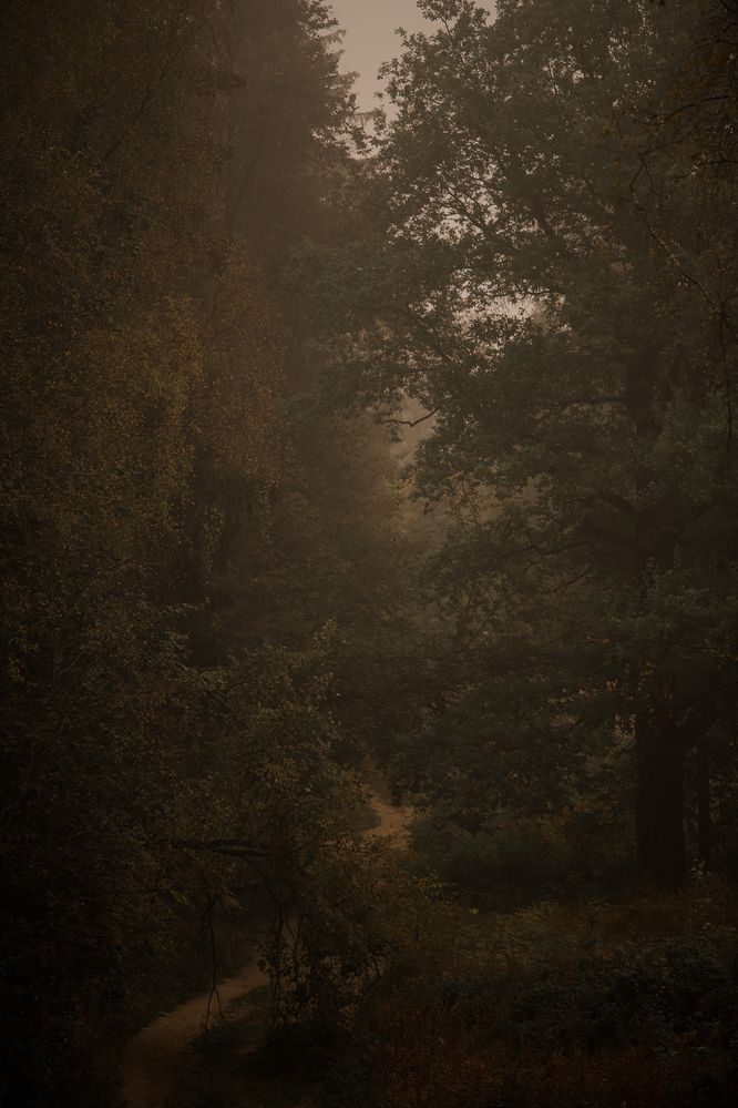 Photograph by Наталия Ватутина