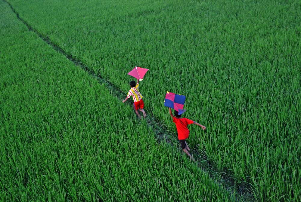 THROUGH THE GREEN FIELD