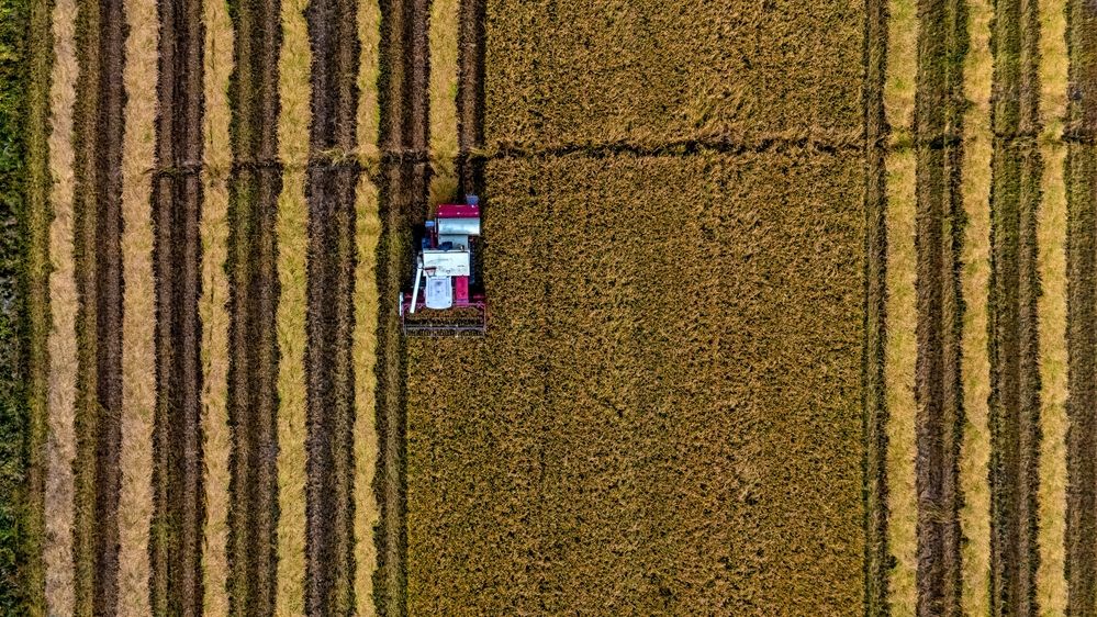 Photograph by Константин Тучин