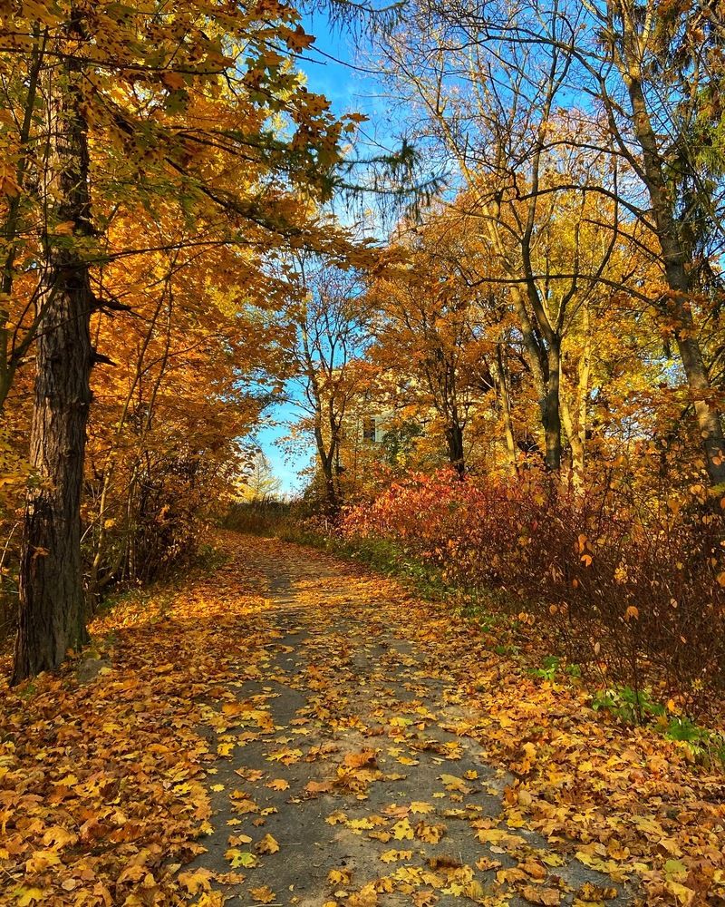 Photograph by Oksana Smorodina