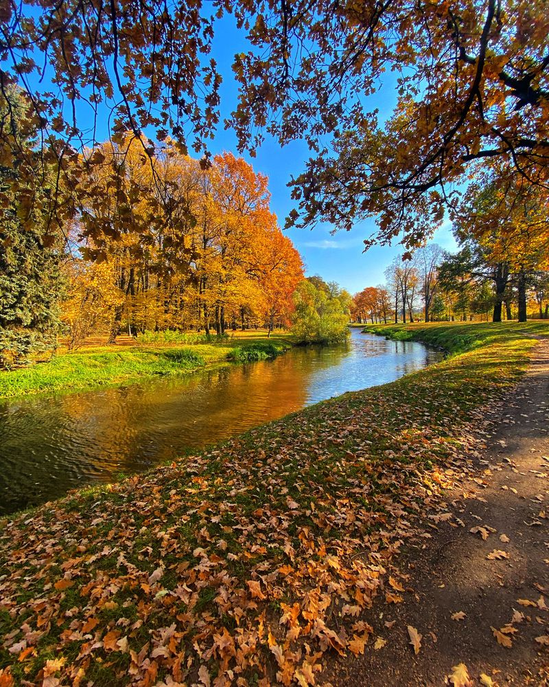 Photograph by Oksana Smorodina