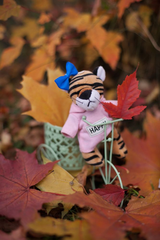 Photograph by Лолита Богачева