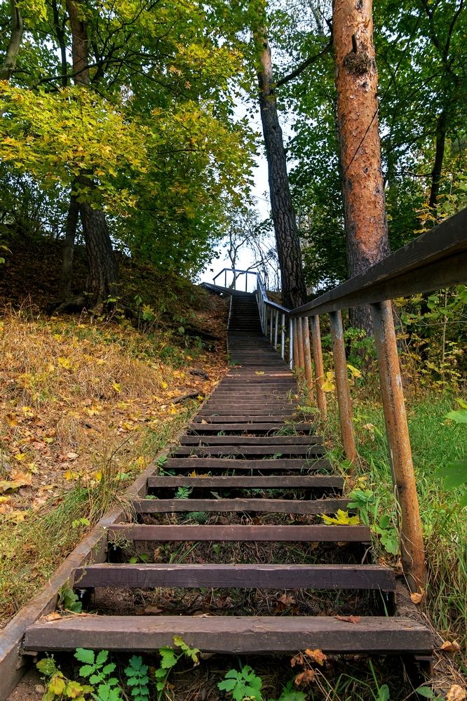 Photograph by Михаил Косолапов