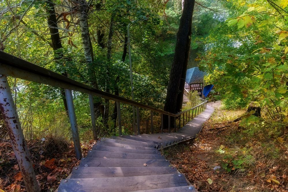 Photograph by Михаил Косолапов