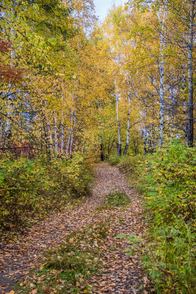 Photograph by Михаил Мархинин