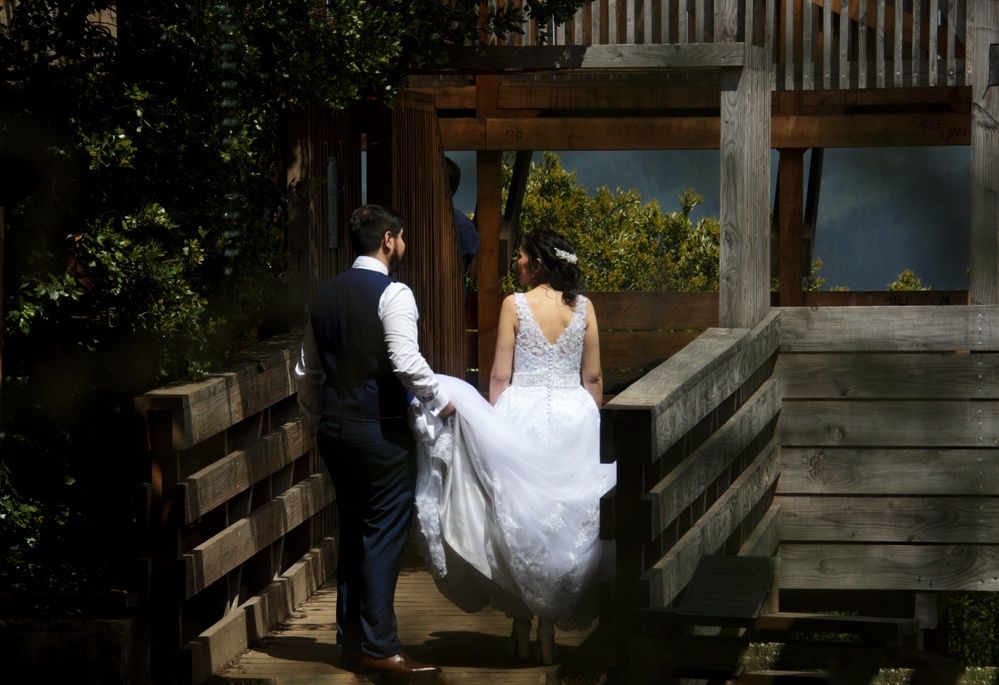 Фотография автора Paula Torrent