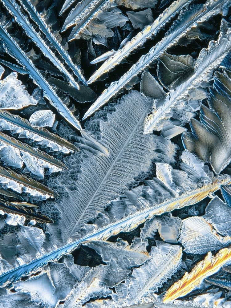 Photograph by Yuan Ji