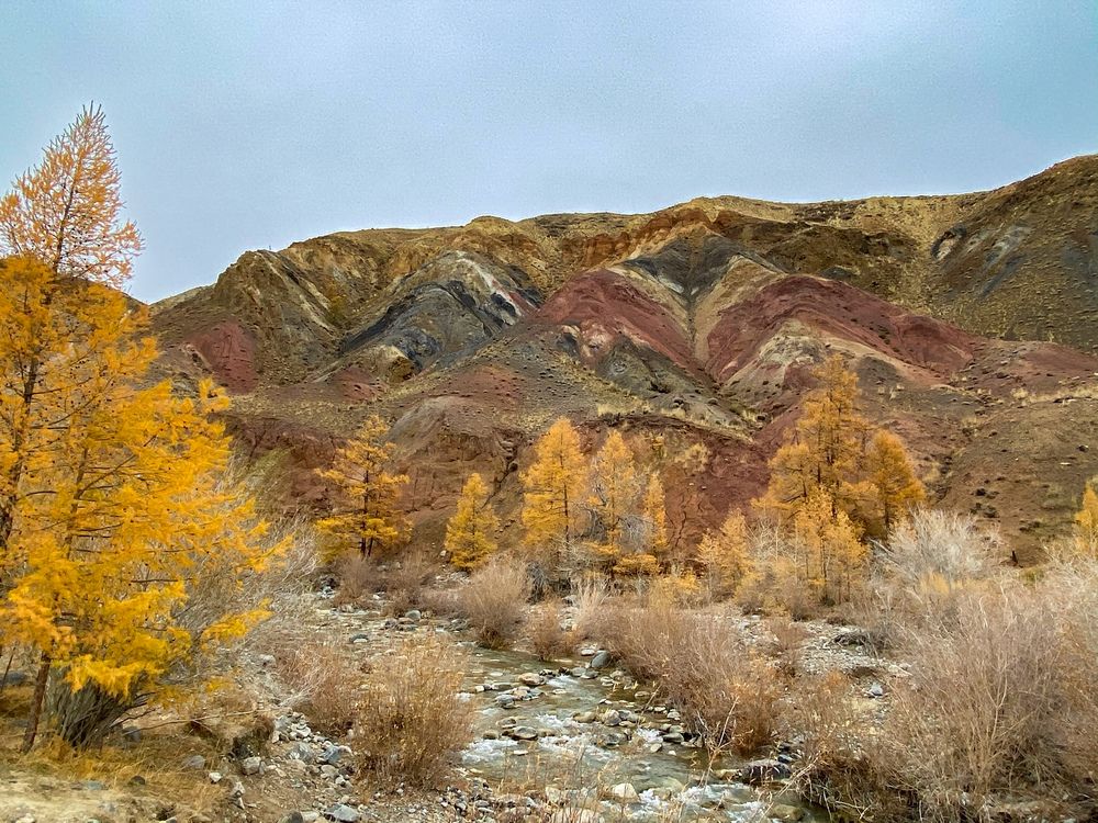 Фотография автора Галина Шиманцова