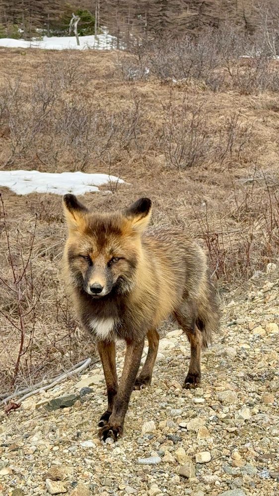 Фотография автора Наталья Вертугина