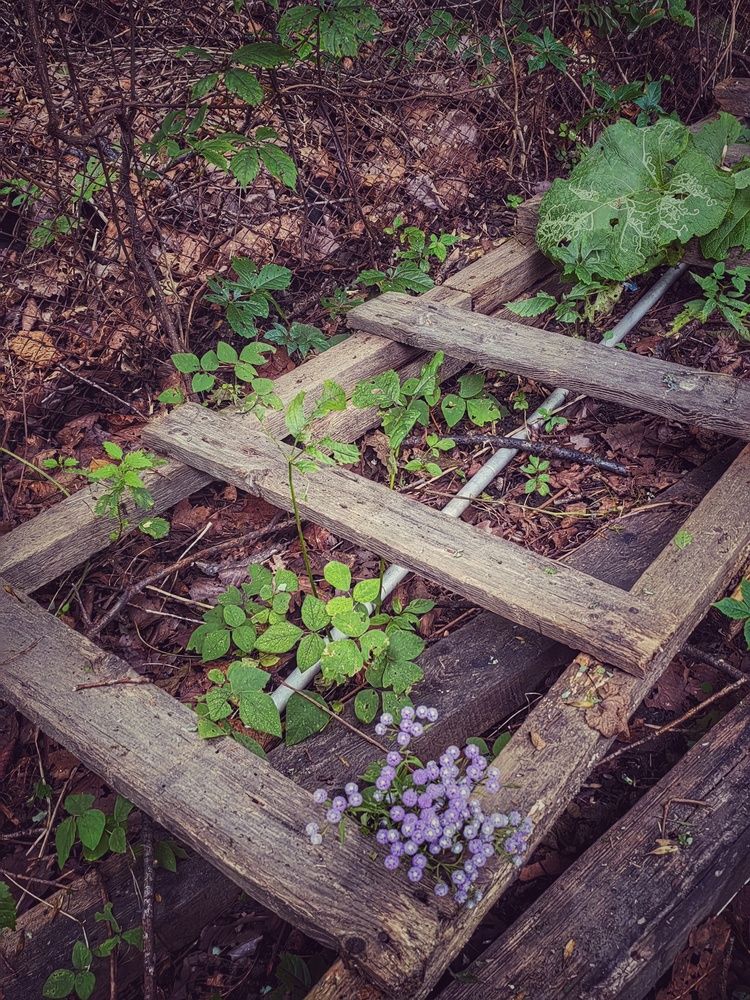 Фотография автора НАТАЛЬЯ СЕВЕР