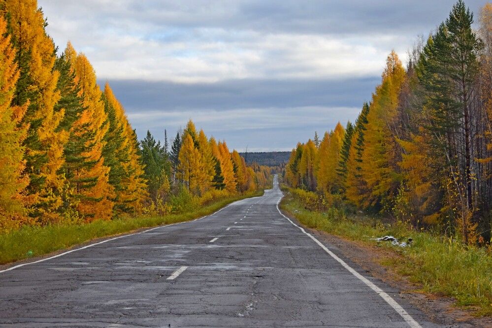 Фотография автора 