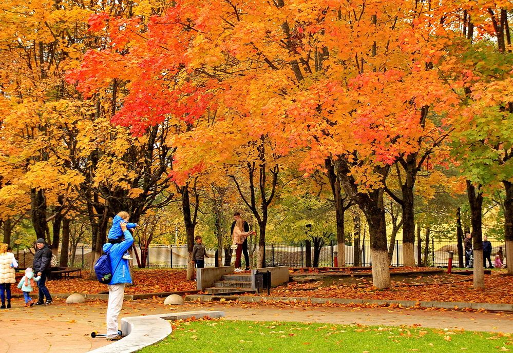 Photograph by Виталий Симоненков